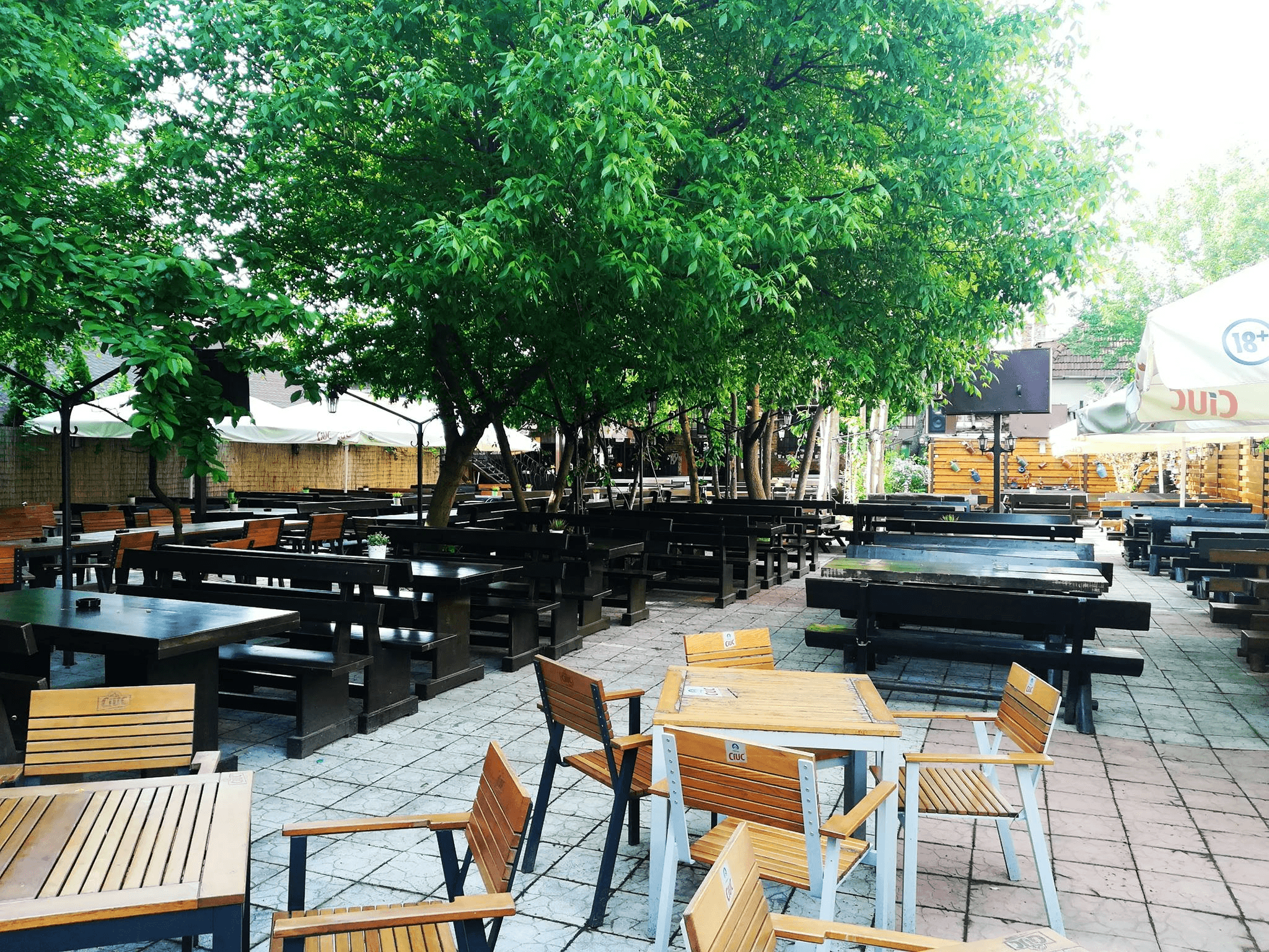 Terasa restaurantului plină de verdeață